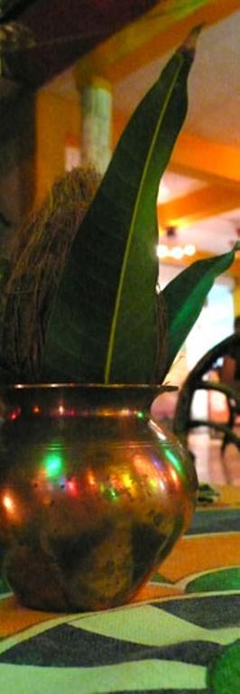 卡兰古特 The Indian Kitchen酒店 外观 照片